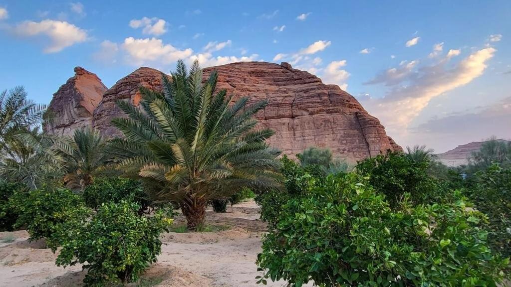 الجوهرة Diamond Plus Βίλα Al Ula Εξωτερικό φωτογραφία