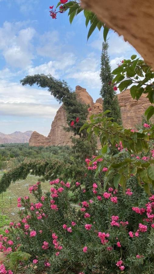 الجوهرة Diamond Plus Βίλα Al Ula Εξωτερικό φωτογραφία